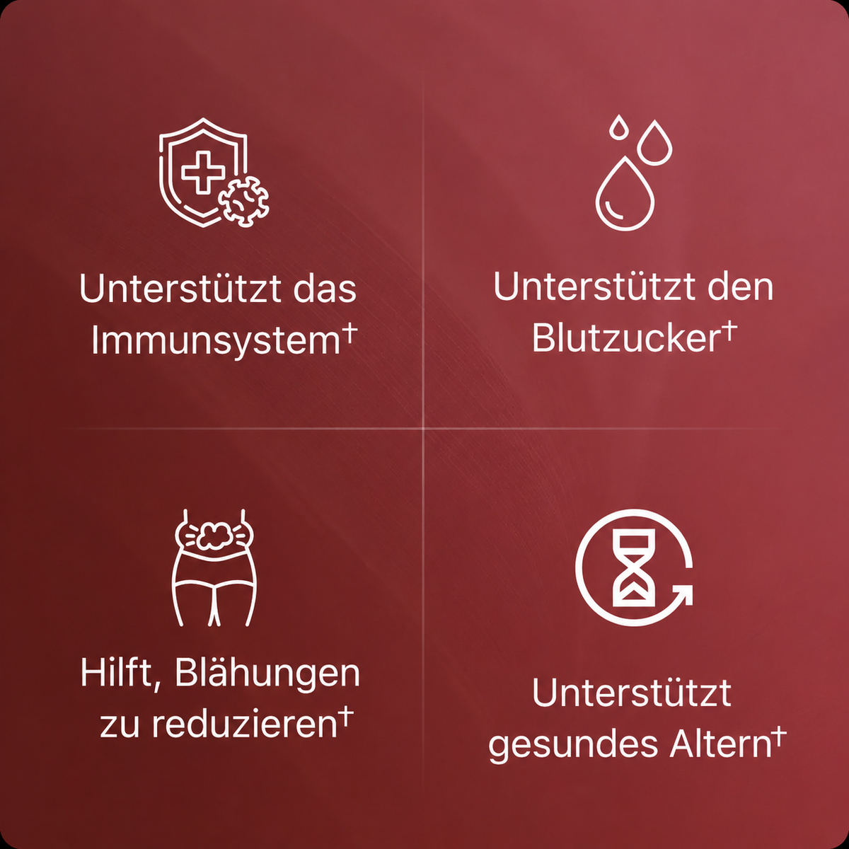 Bio Granatapfel Extrakt Kapseln