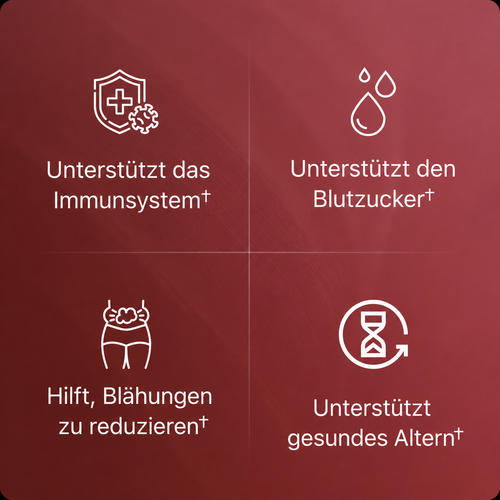 Granatapfel Extrakt Kapseln von Punelia, 700 mg pro Tagesportion
